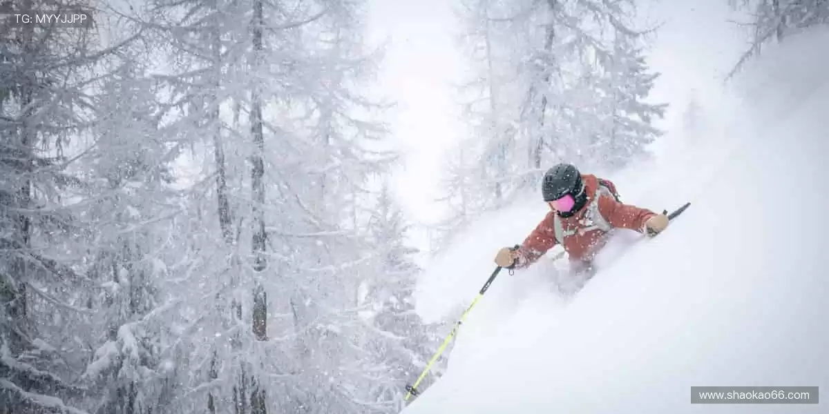 📺 一键直击，赛事精彩永不错过！